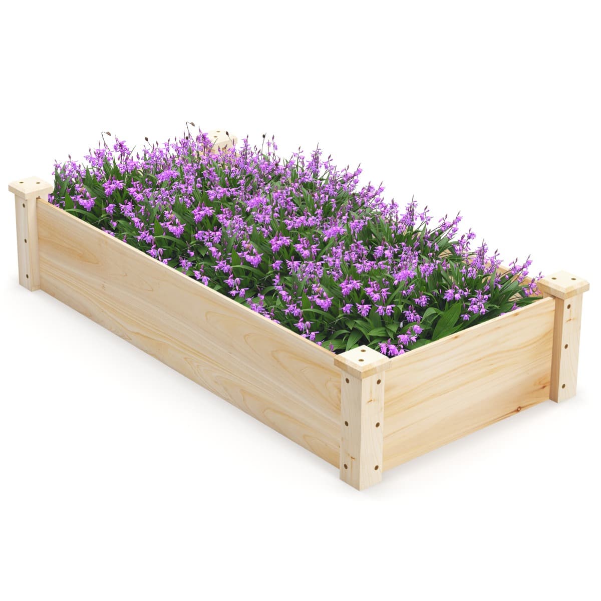 CostwayJardinière Surélevée Carré en Bois de Sapin Base Ouverte 120 x 61 x 25,5cm Lit de Jardin Facile à Assembler pour Culture Fruits Légumes