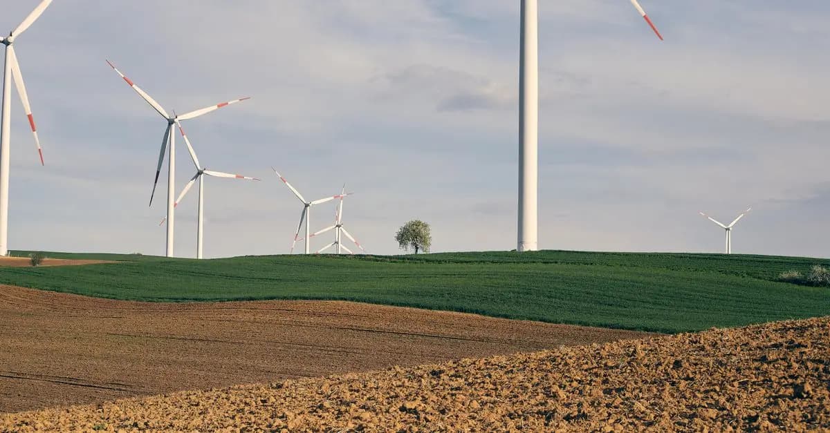 Les Clés pour Évaluer la Durabilité d'un Projet Mature